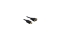 DELOCK Displayport Kabel DP -> DVI(24+1) St/St 2.00m schwarz