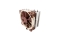 NOCTUA Kühler NH-U12S (11xx,1700,1851,1200,AM4,AM5)