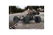 Jamara Desertbuggy Splinter EP 1:10 Lipo 2,4GHz mit LED 14+