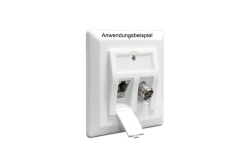 DELOCK Keystone Anschlussdose 2-Port