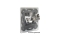 DELOCK Keystone Anschlussdose 2-Port