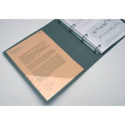 Dreiecktaschen - 10 x 10 cm, sk, transparent, 100 Stück