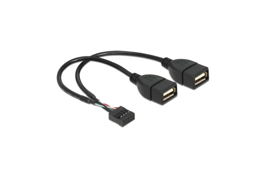 DELOCK USB Kabel Pinheader 10Pin -> 2x A Bu/Bu 0.20m