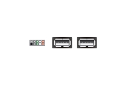 DELOCK USB Kabel Pinheader 10Pin -> 2x A Bu/Bu 0.20m