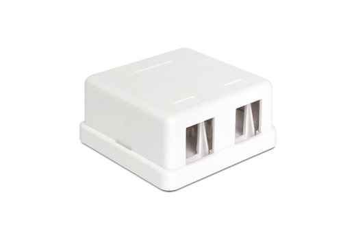 DELOCK Keystone Leergehäuse 2-Port