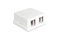 DELOCK Keystone Leergehäuse 2-Port