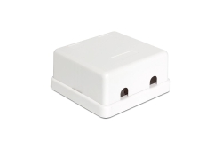 DELOCK Keystone Leergehäuse 2-Port