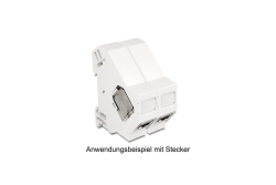 DELOCK Keystone Halterung für Hutschienen mit Erdung