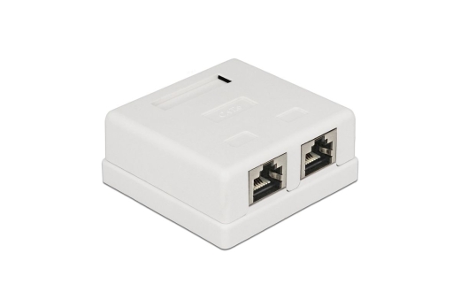 DELOCK Netzwerk Dose 2x RJ45 Buchse Cat6 geschirmt