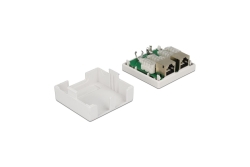 DELOCK Netzwerk Dose 2x RJ45 Buchse Cat6 geschirmt