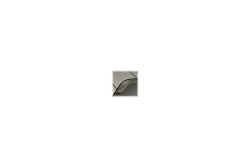Evoluent Maus VerticalMouse 4 Links grey USB retail