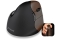 Evoluent Maus VerticalMouse 4 Small Drahtlos bl/brown USB retail