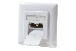 Logilink Cat.6A Anschlussdose, 2x RJ45,weiß, waagerecht