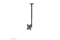 Neomounts DEH 10-40 1TFT 1Gelenk H:60-85cm Max.30KG sw