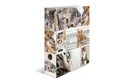 HERMA Ordner A4 Katzen