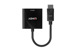 LINDY DisplayPort an DVI-D Adapter 0.17m