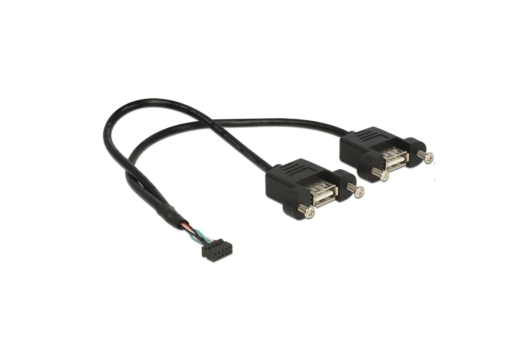 DELOCK USB Kabel Pinheader 10Pin -> 2x A Bu/Bu 0.25m