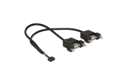 DELOCK USB Kabel Pinheader 10Pin -> 2x A Bu/Bu 0.25m