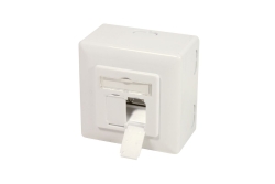 Logilink CAT 6A Auf und Unterputzdose vollgeschirmt RAL 901