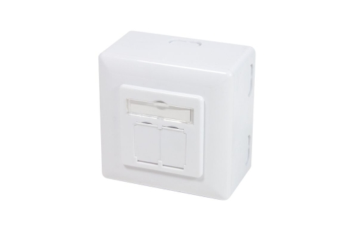 Logilink CAT 6 Auf und Unterputzdose vollgeschirmt RAL 9003