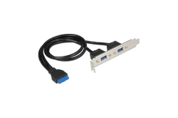 DELOCK Slotblech 2x USB3.0
