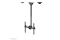 Neomounts DEH 32-60 1TFT 1Gelenk H:56-91cm Max.50KG sw