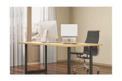 Neomounts Deskstand Laptop/IPAD-Ständer silber alu gebürstet