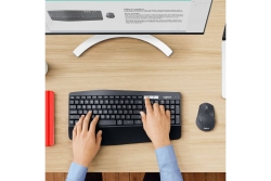 Logitech Wireless Keyboard+Mouse MK850 black retail