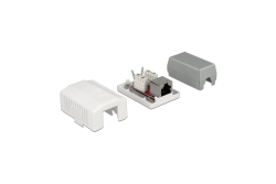 DELOCK Anschlussdose 1Port Cat.6A LSA