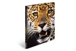 HERMA Sammelmappe A4 Leopard Polypropylen