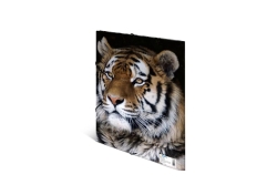 HERMA Sammelmappe A4 Leopard Polypropylen