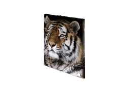 HERMA Sammelmappe A3 Leopard Polypropylen