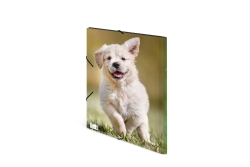 HERMA Sammelmappe A3 Hunde Polypropylen