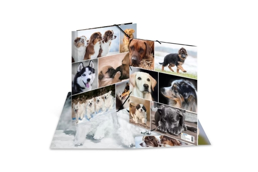 HERMA Sammelmappe A4 Hunde Pappe