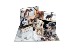 HERMA Sammelmappe A4 Hunde Pappe