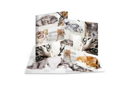 HERMA Sammelmappe A4 Katzen Pappe