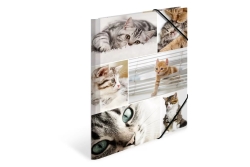 HERMA Sammelmappe A4 Katzen Pappe