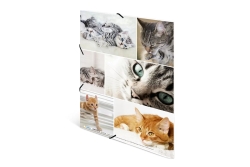 HERMA Sammelmappe A4 Katzen Pappe