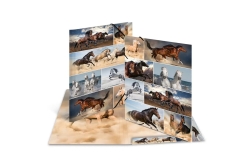 HERMA Sammelmappe A3 Pferde Pappe