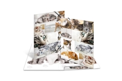 HERMA Sammelmappe A3 Katzen Pappe