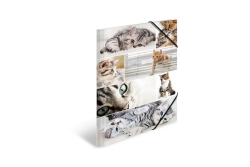HERMA Sammelmappe A3 Katzen Pappe