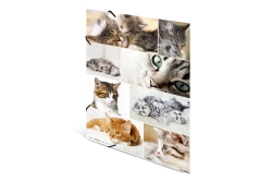 HERMA Sammelmappe A3 Katzen Pappe