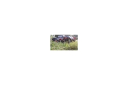 Amewi RC Short Course Truck AM10SC V2 4WD 1:10 rot/scw. /14+