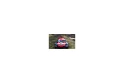 Amewi RC Short Course Truck AM10SC V2 4WD 1:10 rot/scw. /14+