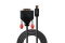 LINDY Mini-DisplayPort an DVI-D Kabel schwarz 2m