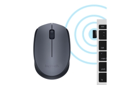Logitech Wireless Mouse M170 grey retail