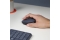Logitech Wireless Mouse M170 grey retail
