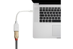 LINDY Mini-DisplayPort an Displayport Adapterkabel M/F 0.15m