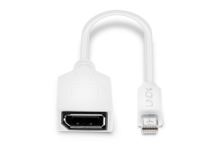 LINDY Mini-DisplayPort an Displayport Adapterkabel M/F 0.15m