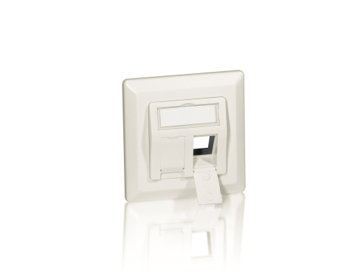 Equip Frontplatte 2xKeystone Jack 45° 5Stk RAL1013 Polybeutel